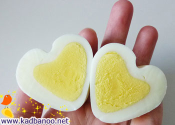تخم مرغ به شکل قلب