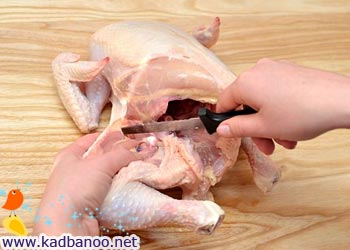 آموزش خرد کردن مرغ