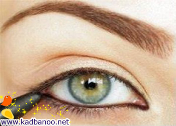 آرایش قهوه ای و مشکی برای چشم های سبز یا آبی