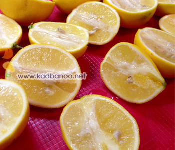 مکعب های یخی لیمویی